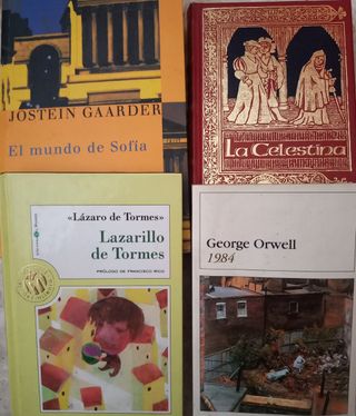 Libros de lectura obligatoria ESO y Bachill