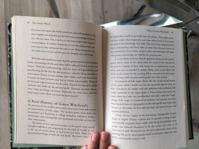 LA BRUJA VERDE ( en inglés)