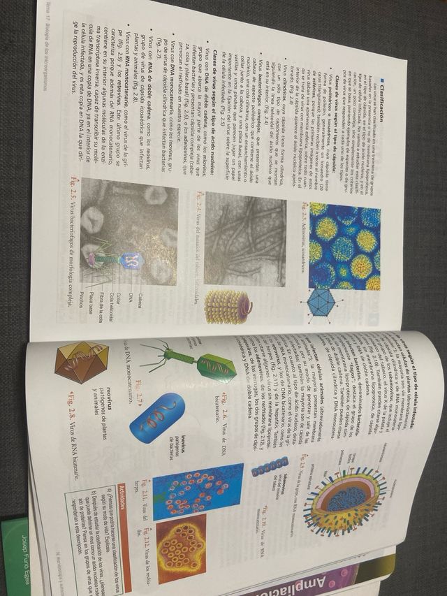 Biologia 2º Bachillerato / 2009