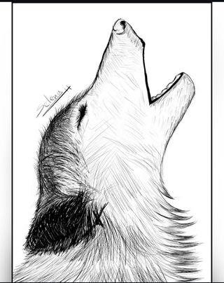 Ilustraciones personalizadas por encargo.