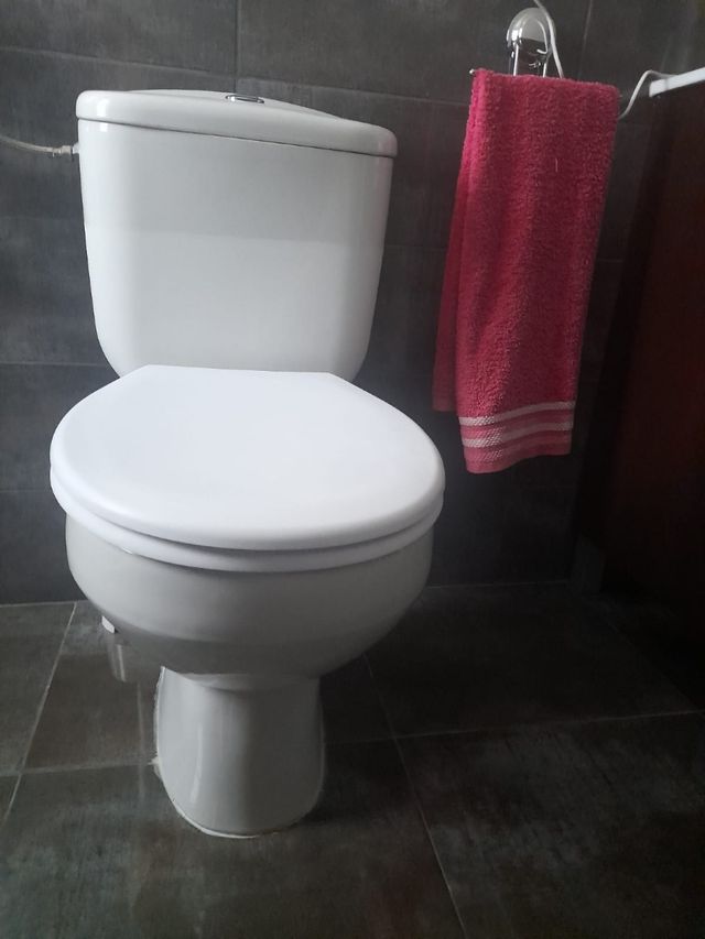 Inodoro Roca Victoria blanco