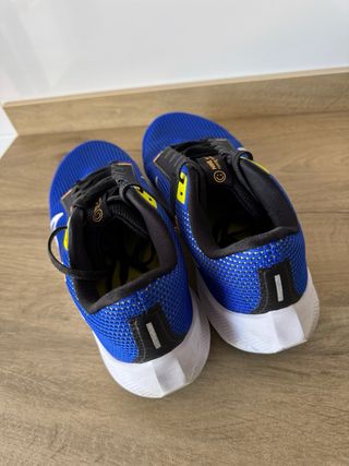 Zapatillas Nike Pegasus 40 - Azul