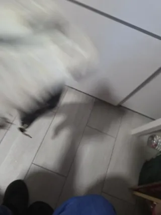 Botas Hunter agua - negras