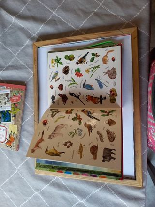 La montaña. El bosque.