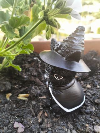 Figura gato brujo