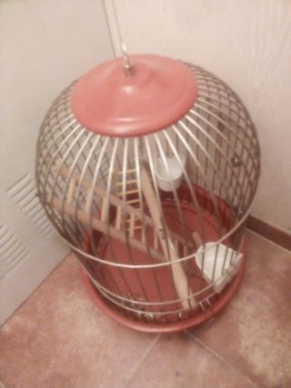 Jaula cúpula loro ninfa