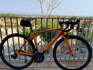 Orbea Orca Talla 51
Ruedas carbono