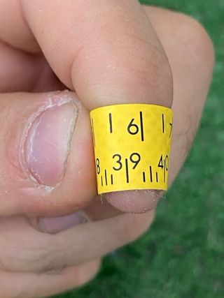 Converse All Star Trasparenti 39