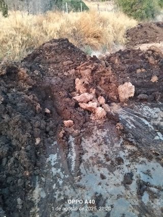 Solo  teléfono 611567477