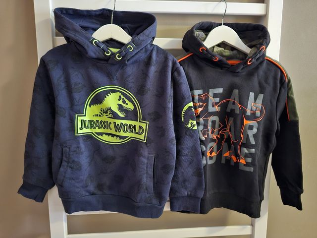 Sudadera de Dinosaurio niño