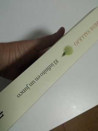 El infinito en un junco: La invención de los libro