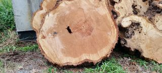 Discos madera, piezas