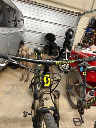 Bicicleta Scott Scale 