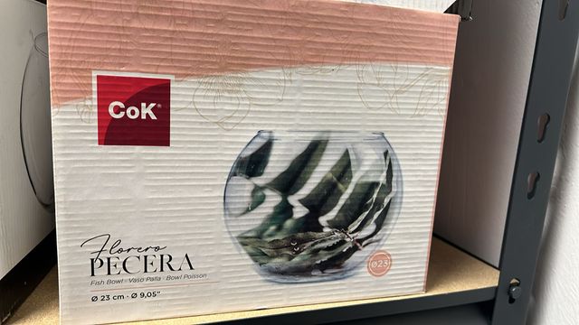 Acquario in vetro COK - 23 cm