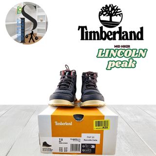  Zapatillas Senderismo Mujer Lincoln Peak mid