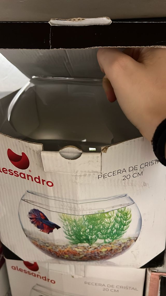 Acquario Alessandro in vetro 20cm
