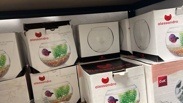 Acquario Alessandro in vetro 20cm