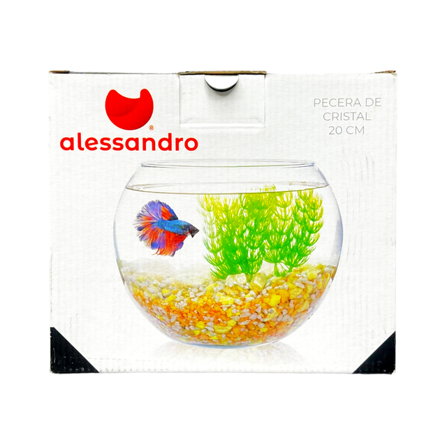 Acquario Alessandro in vetro 20cm