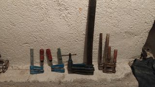 Gatos 10 euros los 5