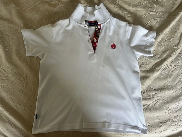 Fomento. 4 Polos colegio Entreolivos