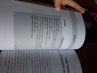 BTS - Icone del K-Pop: biografia