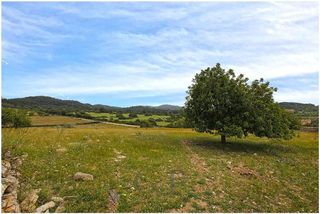 Terreno en venta en Son Servera