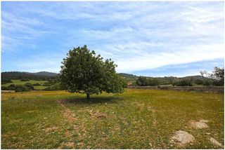 Terreno en venta en Son Servera
