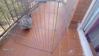 Parque metálico para mascotas. Ideal exterior.