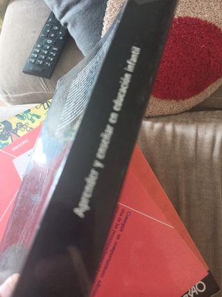 Aprender y enseñar en educación infantil (Didác...