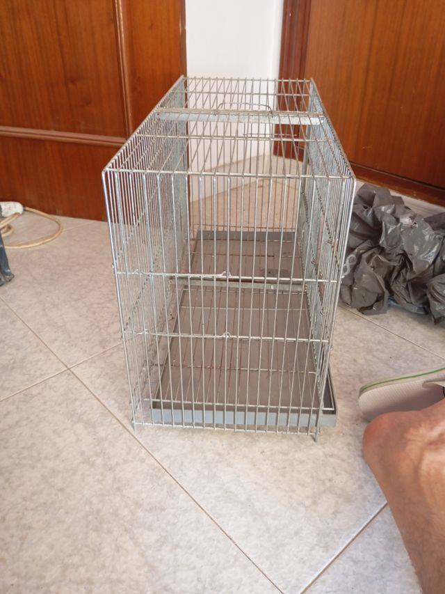 Jaula pájaros metalica