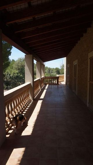 Casa rural en alquiler en Calvià en Calvià