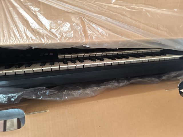 Casio DM-100: Teclado Piano