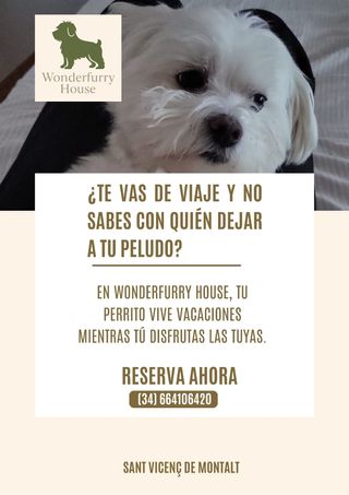 Cuido perritos en mi casa con amor y dedicación