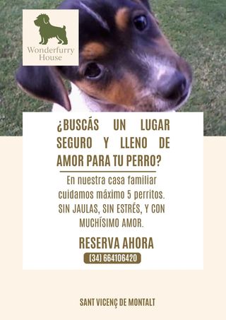 Cuido perritos en mi casa con amor y dedicación
