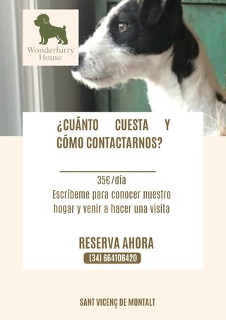 Cuido perritos en mi casa con amor y dedicación