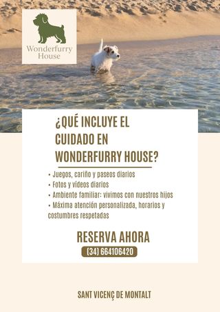 Cuido perritos en mi casa con amor y dedicación