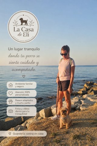 Cuido perritos en mi casa con amor y dedicación