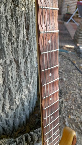 Guitarra Stratocaster SnakeSkin Replica