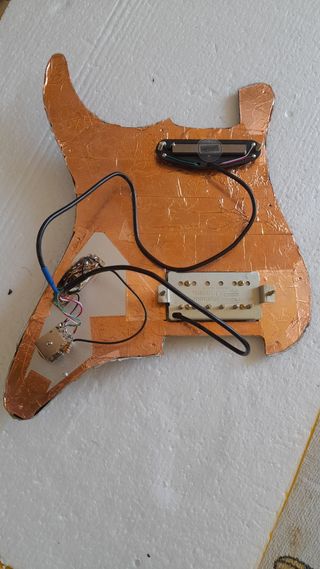 Guitarra Stratocaster SnakeSkin Replica