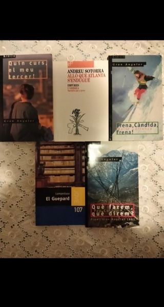 Llibres literatura catalana