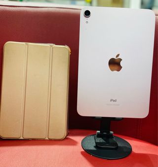 iPad mini 6 - rosa 64gb