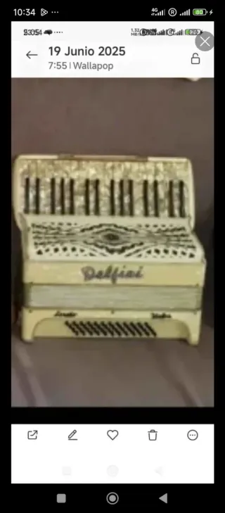 Acordeones diferentes marcas !