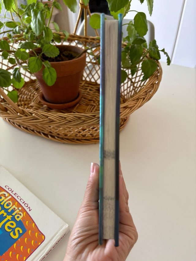 Frozen. Anna y Elsa. Recuerdos y magia: Narrativa.