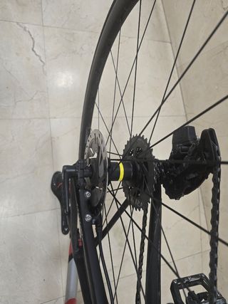 Wilier Triestina carbono