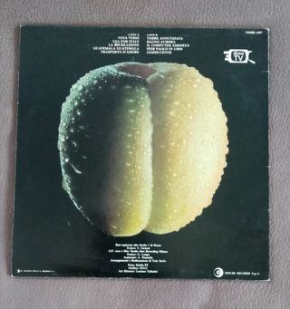 Vinile Squallor - Tocca l'albicocca