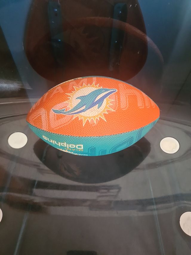 Balón Wilson Miami Dolphins