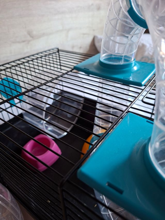 Jaula hamster + accesorios