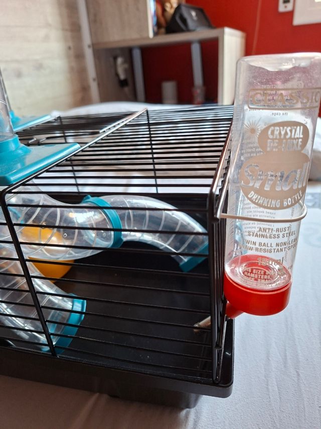 Jaula hamster + accesorios