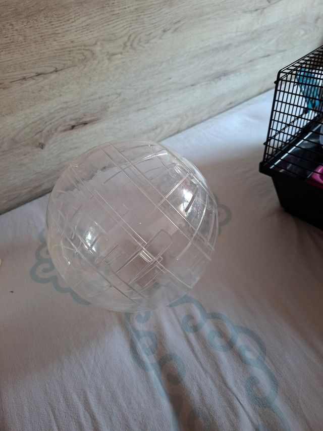 Jaula hamster + accesorios