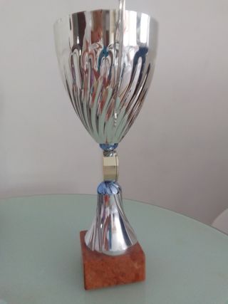Trofeo Coppa colore Argento